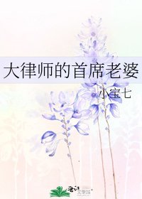 大律师的首席老婆