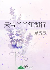 《天宝丫丫江湖行》