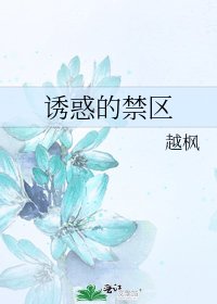 《诱惑的禁区》