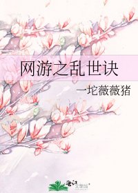 网游之乱世诀