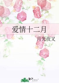 爱情十二月