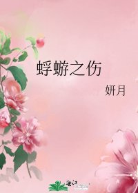 《蜉蝣之伤》