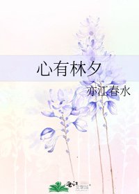 《心有林夕》