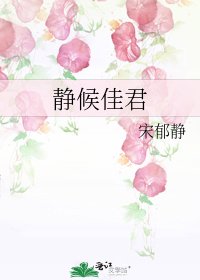 《静候佳君》