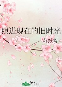 照进现在的旧时光