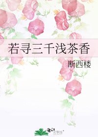 《若寻三千浅茶香》