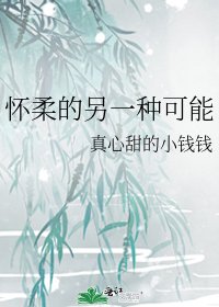 怀柔的另一种可能