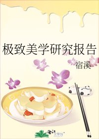 极致美学研究报告