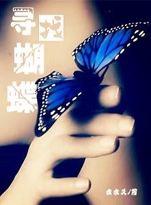 寻找蝴蝶