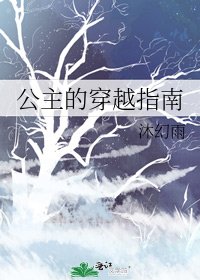 公主的穿越指南