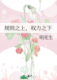 规则之上，权力之下