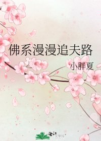 佛系漫漫追夫路