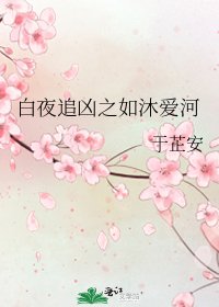 白夜追凶之如沐爱河