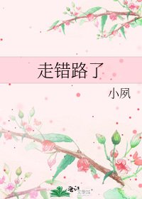 走错路了
