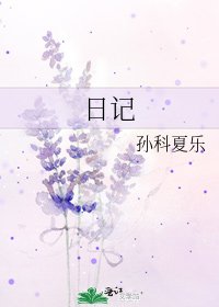 《日记》