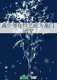《真少爷在综艺成为豪门团宠》