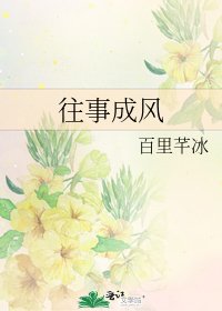 往事成风