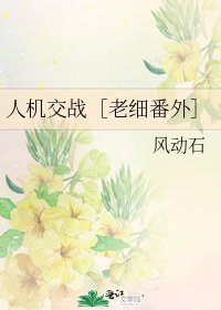 人机交战［老细番外］