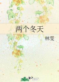 《两个冬天》
