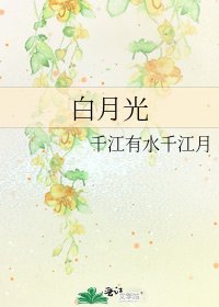 白月光