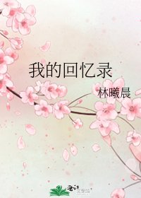 我的回忆录