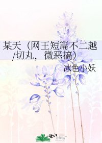 某天（网王短篇不二越/切丸，微恶搞）