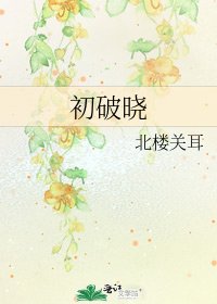 初破晓