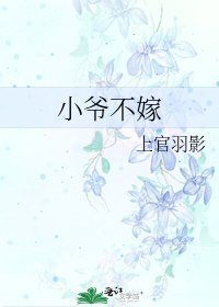 小爷不嫁