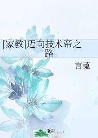 [家教]迈向技术帝之路