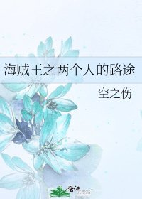 海贼王之两个人的路途