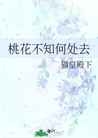 桃花不知何处去