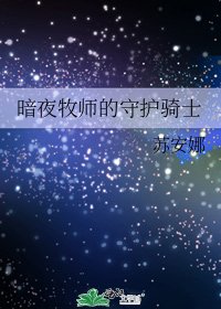 暗夜牧师的守护骑士