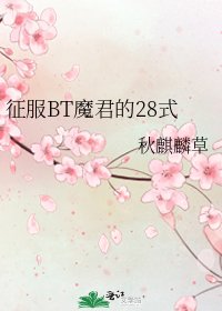 征服BT魔君的28式