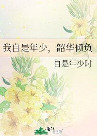 我自是年少，韶华倾负