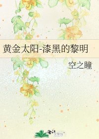 《黄金太阳-漆黑的黎明》