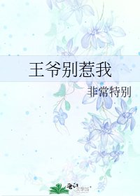 王爷别惹我