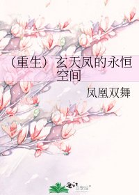 （重生）玄天凤的永恒空间