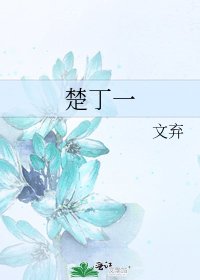 楚丁一