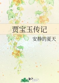贾宝玉传记