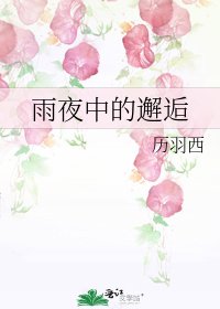 雨夜中的邂逅