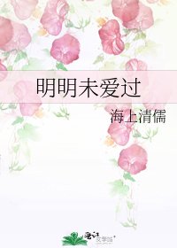 明明未爱过
