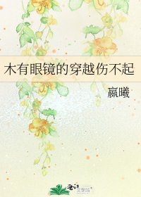 木有眼镜的穿越伤不起
