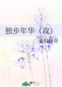 独步年华（攻）