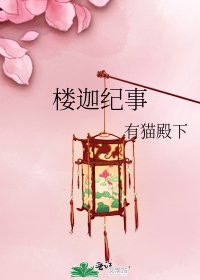 《楼迦纪事》