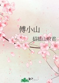 《傅小山》