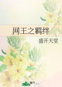 网王之羁绊