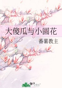 大傻瓜与小圆花