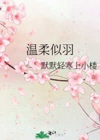 《温柔似羽》