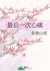 《最后一次心痛》