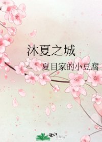 沐夏之城